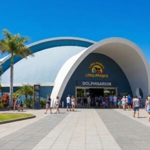 loro parque with bus – a wild day out in tenerife!