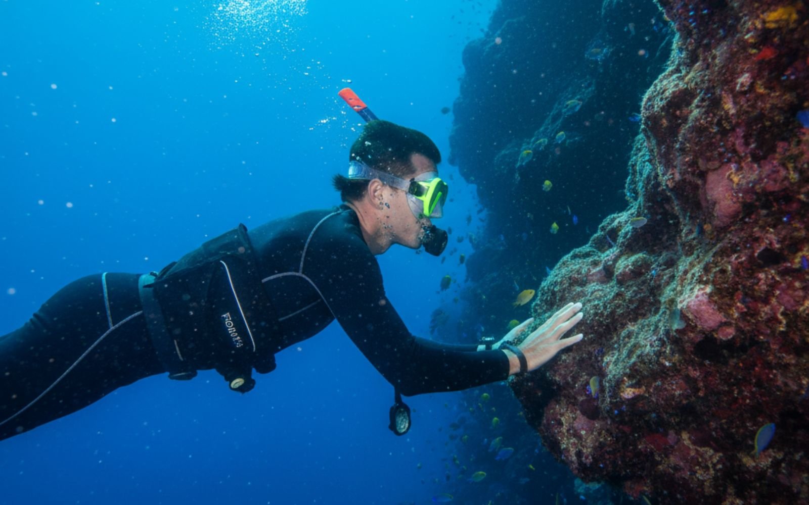 discover scuba diving – tenerife discover scuba diving – tenerife