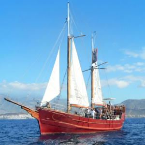 gemini generated image uca3fcuca3fcuca3